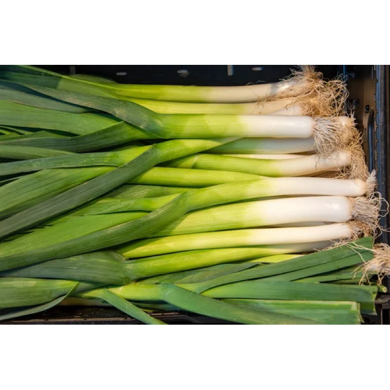 

Daun Bawang - Ratu Pasar Murah Makassar