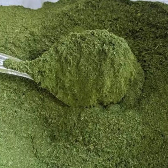 

Bubuk Serbuk KELOR KASAR 500 Gram teh celup Moringa tea