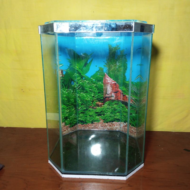 Aquarium segi 8(30x30x40)