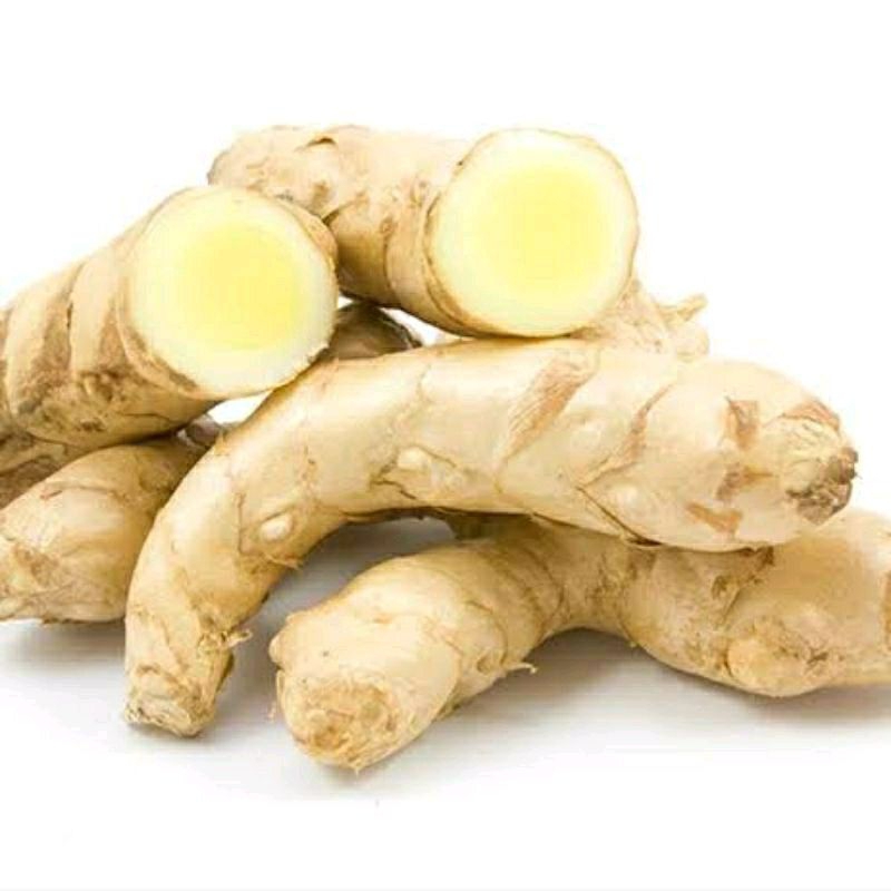 

Temu putih kunyit curcuma 1kg fresh