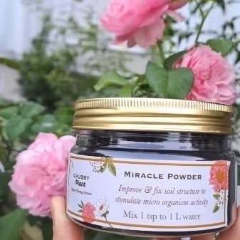 chubby plant miracle powder pembenah tanah menambah nutrisi microba tanah memperbaiki struktur tanah