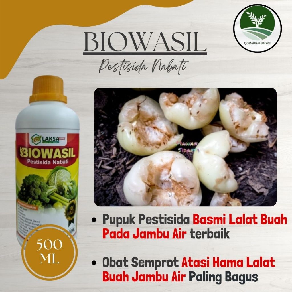 OBAT LALAT BUAH JAMBU AIR TERBAIK - BIOWASIL Pestisida 500ml Obat Semprot Atasi Hama Lalat Buah Jamb