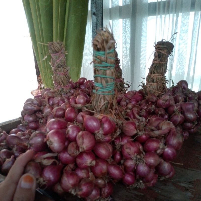 

Brambang Prob Ombyokan 1KG