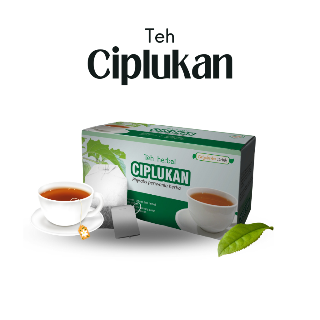 

Teh Herbal Daun Ciplukan membantu meluluhkan gejala influenza diabetes sakit tenggorokan Halal BPOM