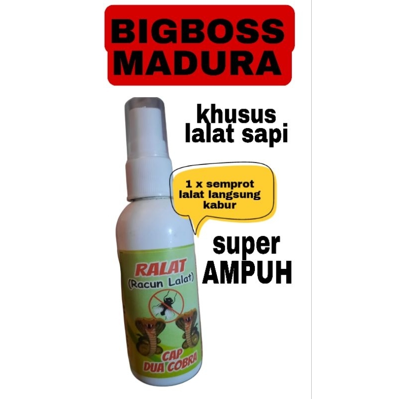 RACUN LALAT SAPI tinggal semprot lalat pergi aman untuk sapi