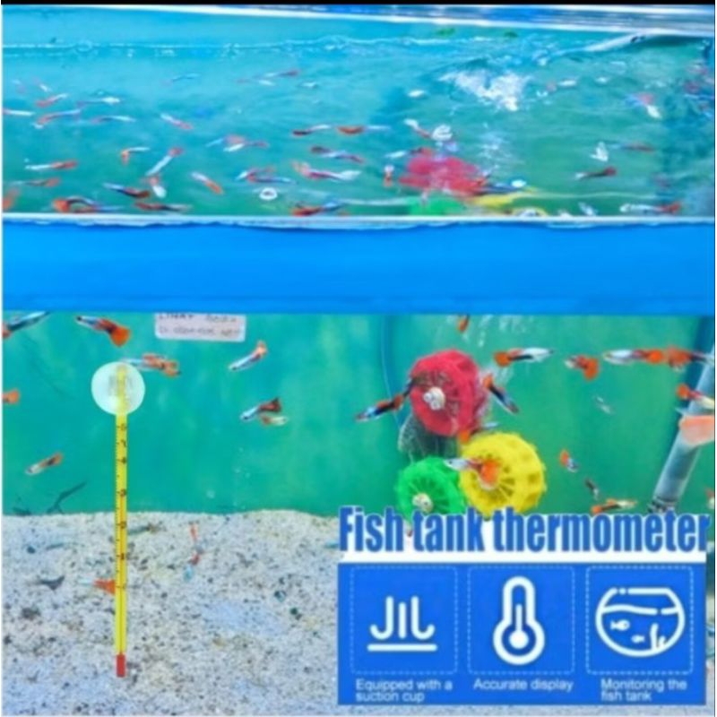 Termometer Nikita Star Alat Pengukur Suhu Air Aquarium