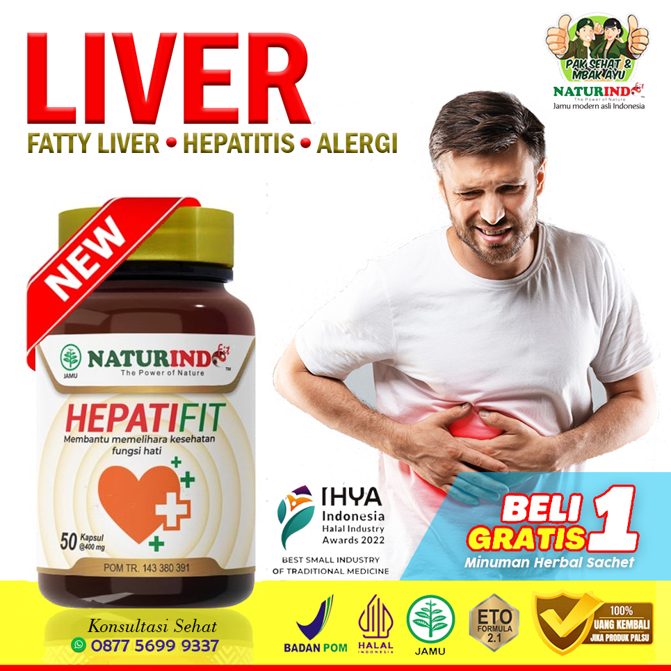 Hepatifit,Obat Herbal Liver