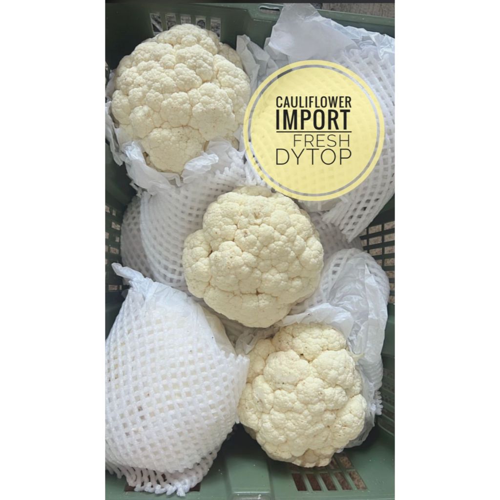 

Cauliflower Kembang Kol Cauli Import Fresh - Tray Box