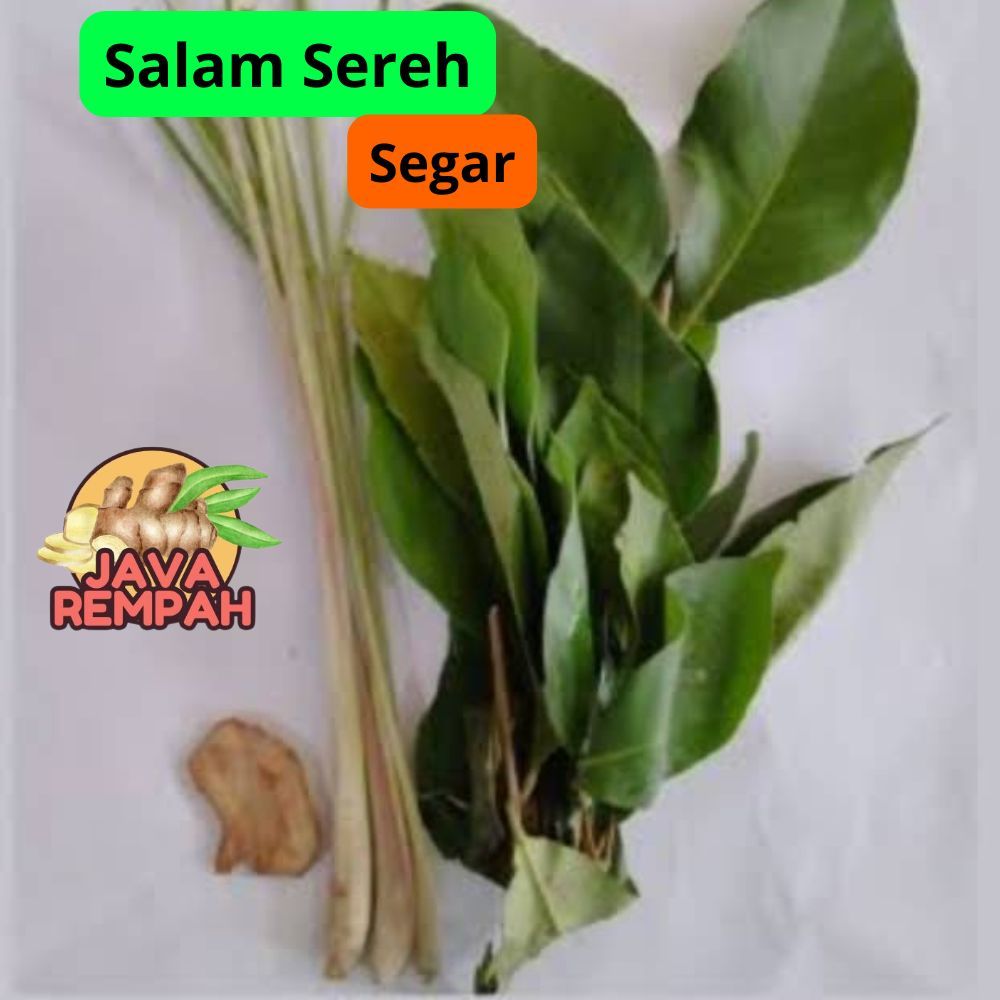 

JAVA REMPAH Salam Sereh laos Segar 1ikat