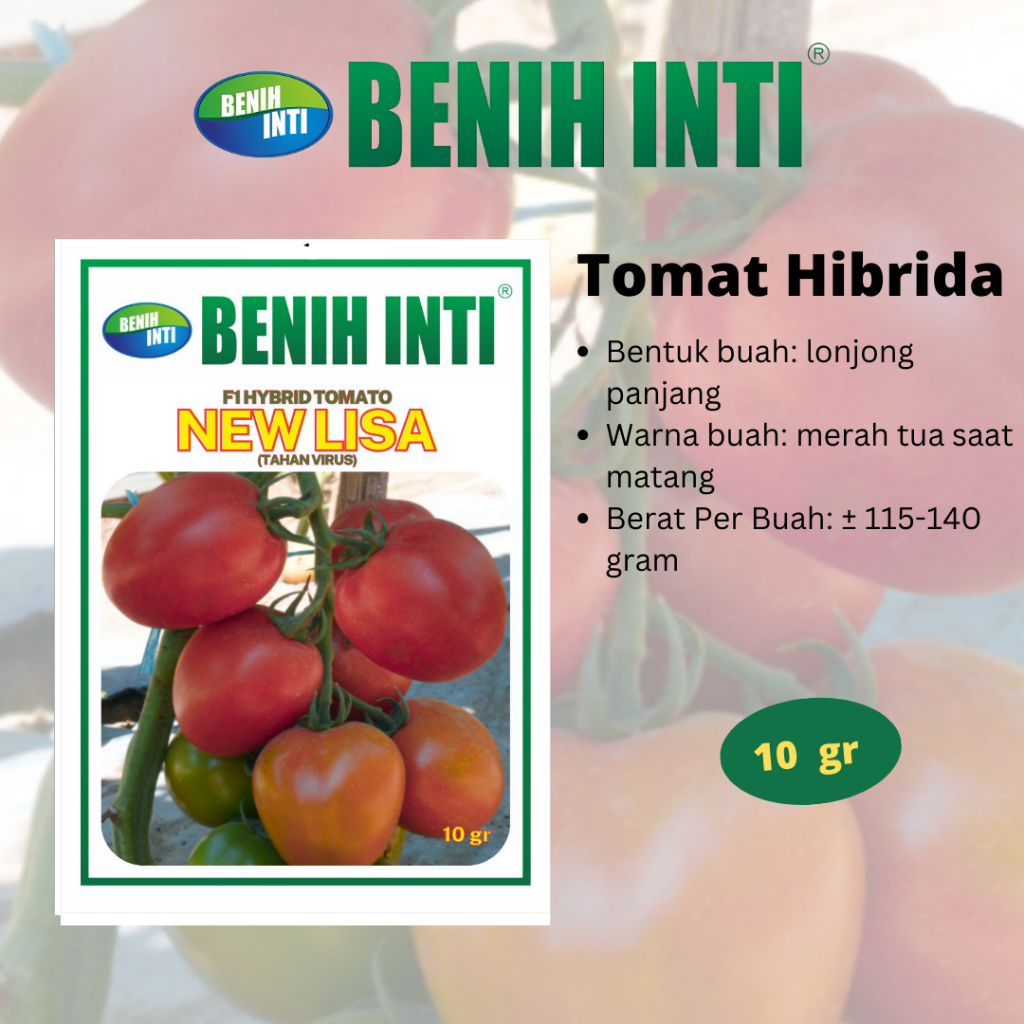 Benih Inti Benih Tomat Hibrida New Lisa