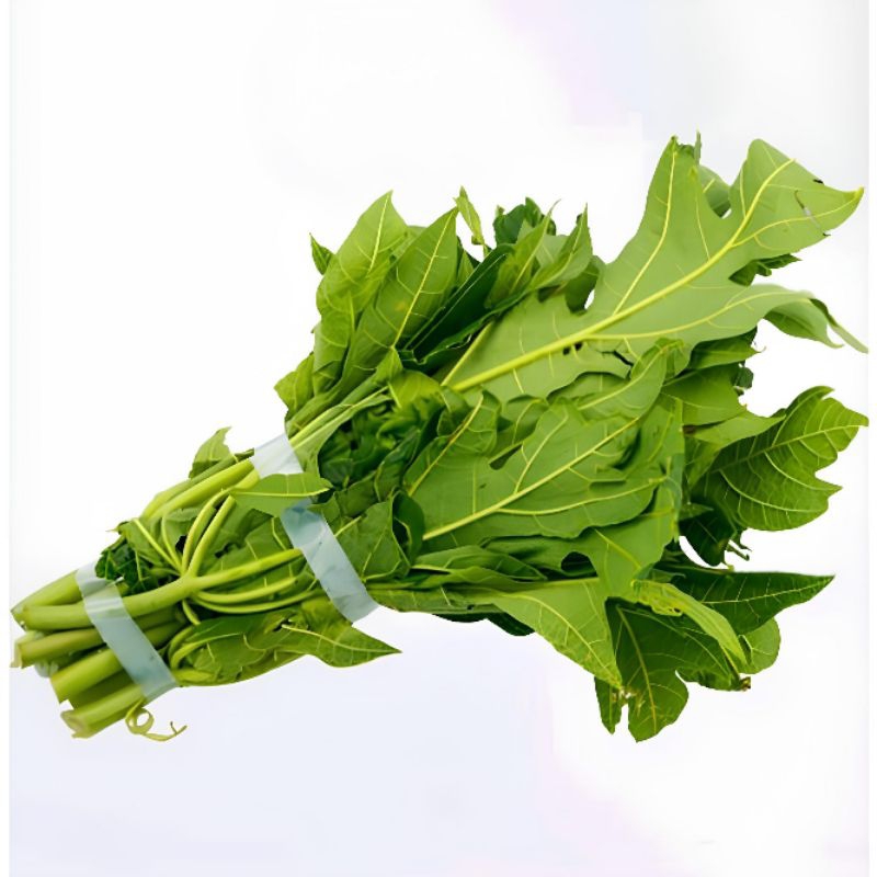 

Daun pepaya segar 1 ikat