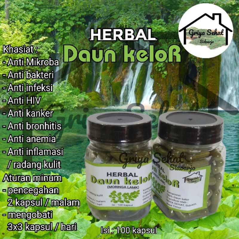 

Daun kelor kapsul isi 100