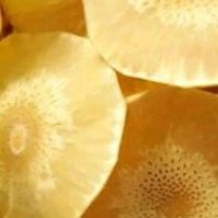 

CEMILAN VIRAL KERIPIK SUKUN 250 gr GURIH DAN RENYAH