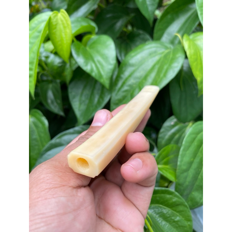 once pipa tulsap impor model GG warna kuning gading asli natural lubang multifungsi
