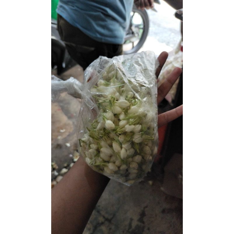 BUNGA MELATI SEGAR MURAH