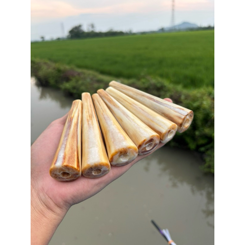 moncong marlin 12cm super gemoy, padet aslii 100% marlin