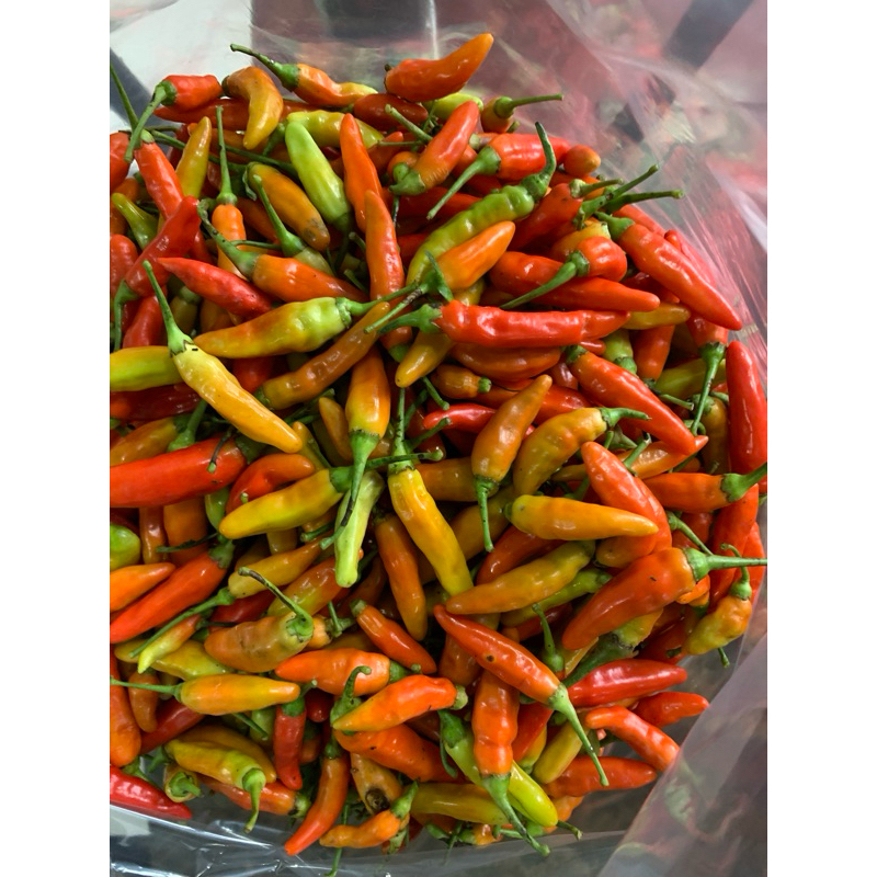 

cabe rawit ori 500 gram