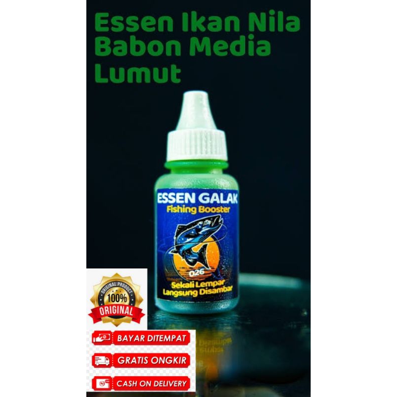 esen ikan nila mujaer media lumut