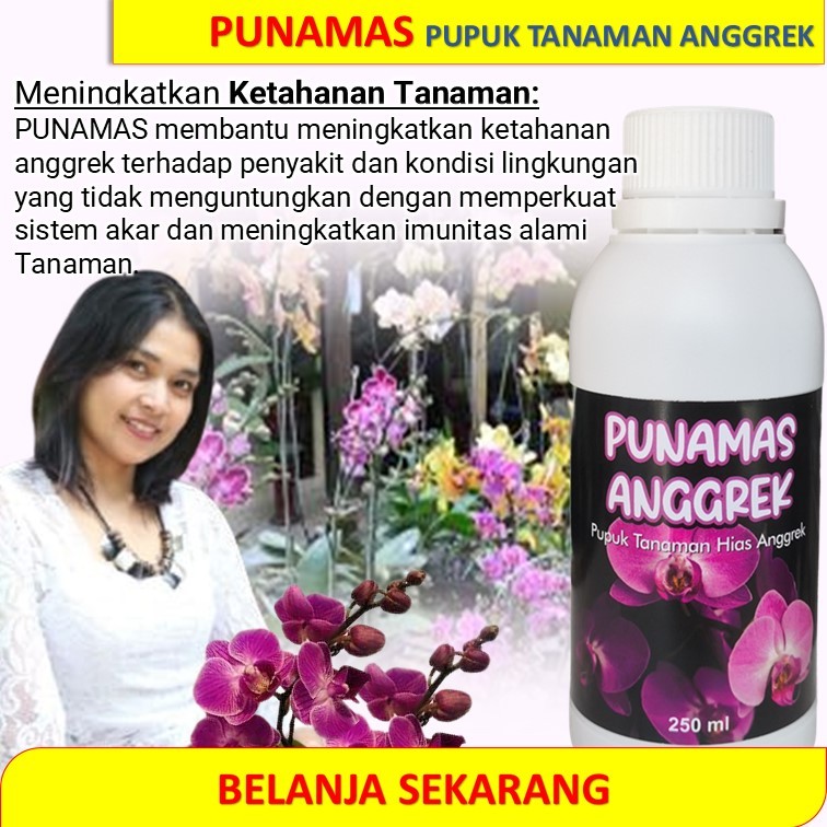 PUPUK KHUSUS BUNGA ANGGREK AGAR RAJIN BERBUNGA DOSIS AMAN / PUPUK ANGGREK RAJIN BERBUNGA / PUPUK ANG