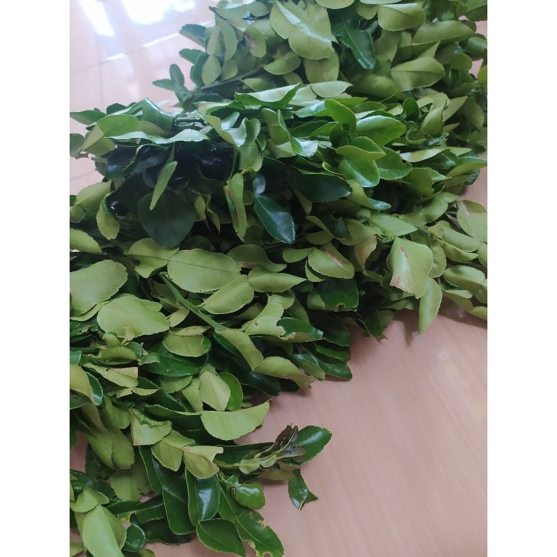

daun jeruk purut jeruk angka8 harga per 1kg