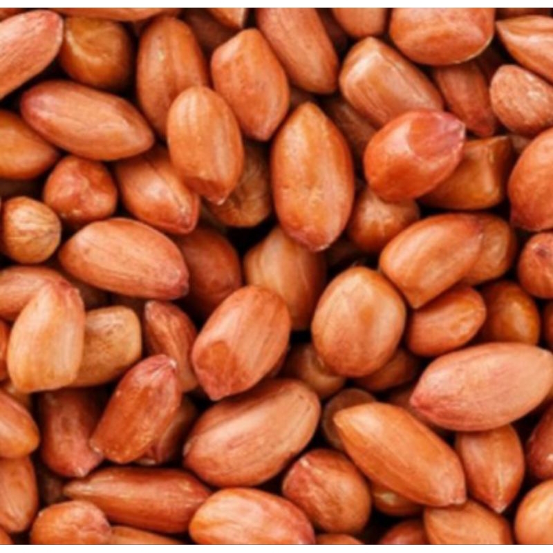 

KACANG TANAH KULIT.