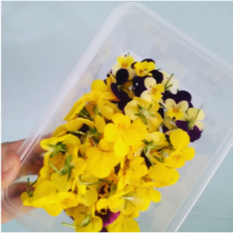 

Mix edible flower - Mix besar Kecil
