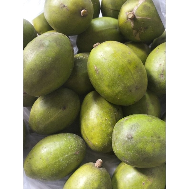 

BUAH KEDONDONG HARGA 1KG