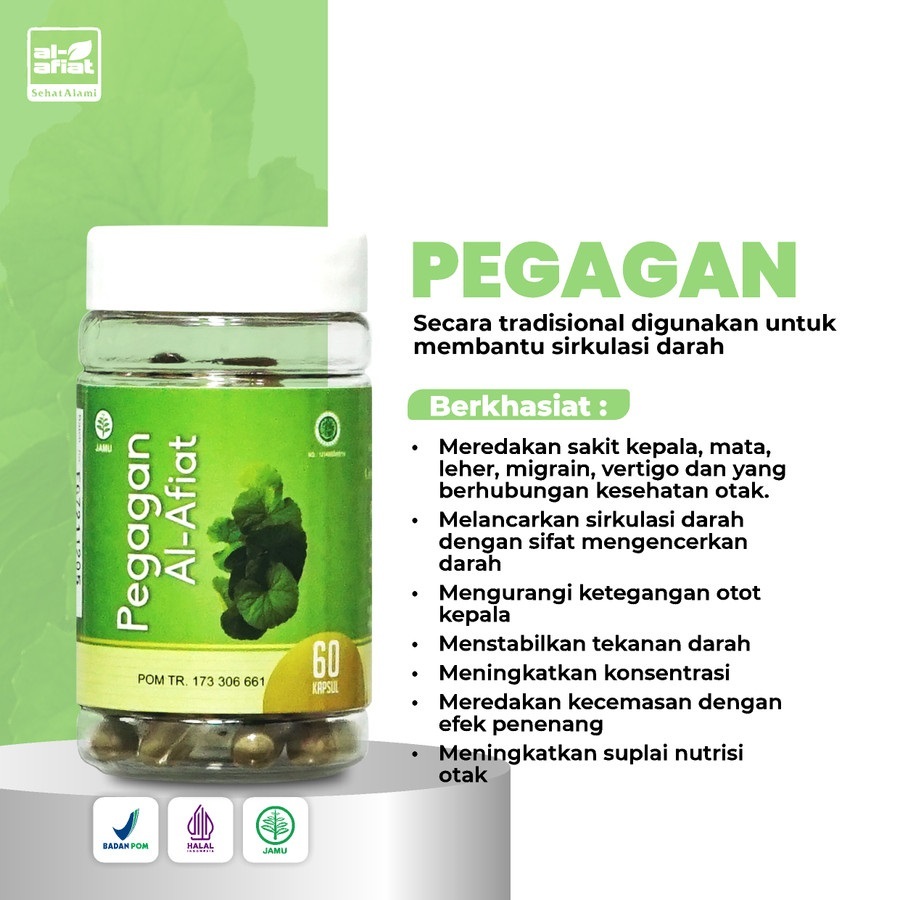 Pegagan Al Afiat Untuk Memperlancar Sirkulasi Darah