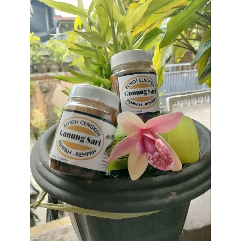 BOREH CENGKEH ASLI (DEWASA)