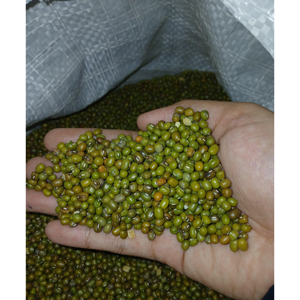 

Kacang Hijau Import 500gr - 02