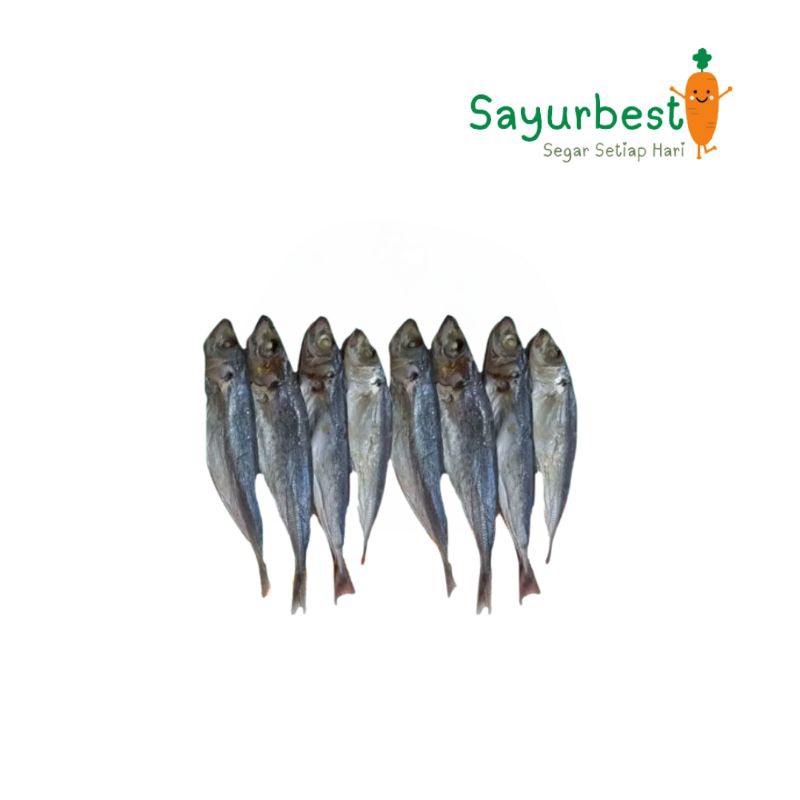 

Ikan Asin Japu