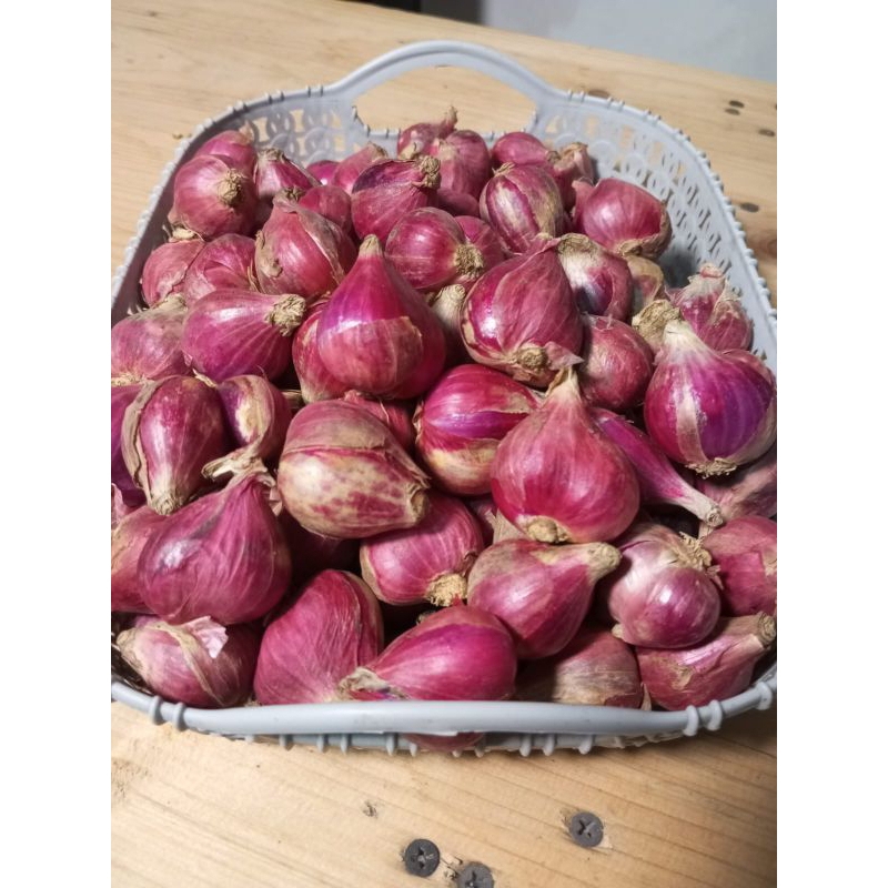 

Bawang Merah Brebes ukuran Besar 1kg