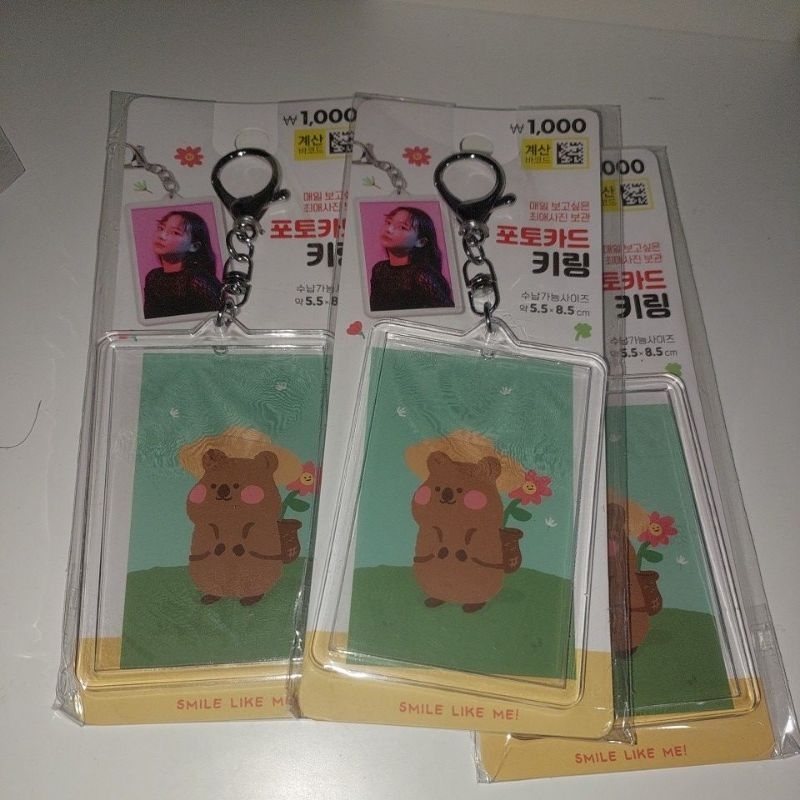 Korean Photocard Holder Acrylic Daiso