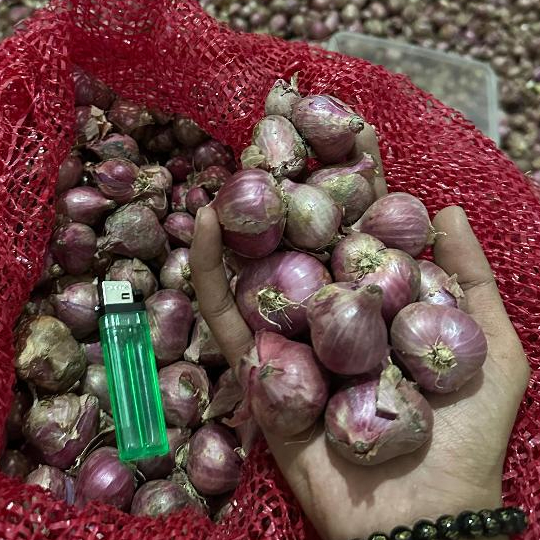 

[GARANSI UANG KEMBALI] Bawang Merah Super Premium, Asli dari Petani Nganjuk.