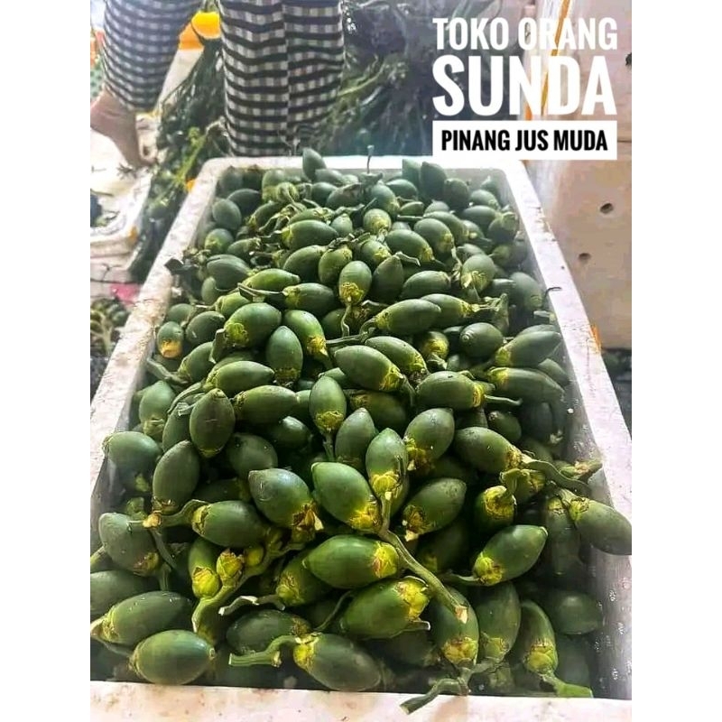 

Pinang Jus | Pinang Muda