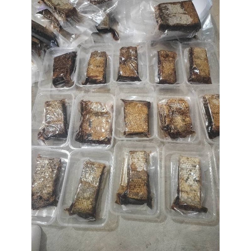 

akasia carva madu sarang