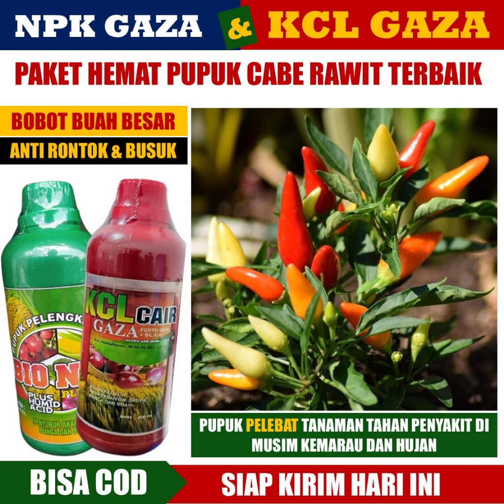 PAKET HEMAT Isi 2 BOTOL NPK GAZA & KCL GAZA Pupuk Cair Pelebat Buah Cabe - Pupuk NPK Cair Dan Pupuk 