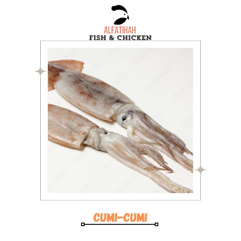 

Cumi-Cumi fresh