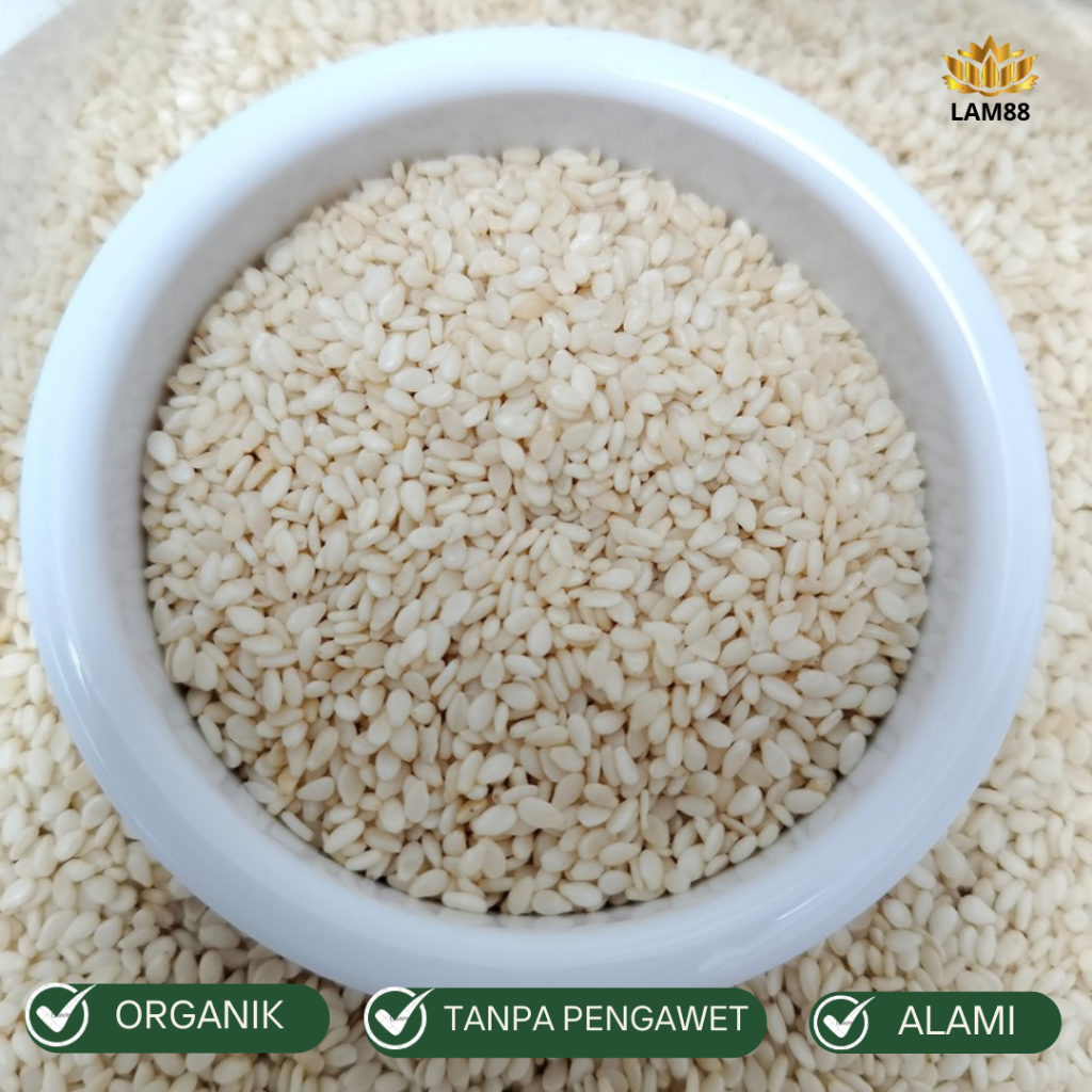 

BIJI WIJEN PUTIH | WHITE SESAME - LAM88