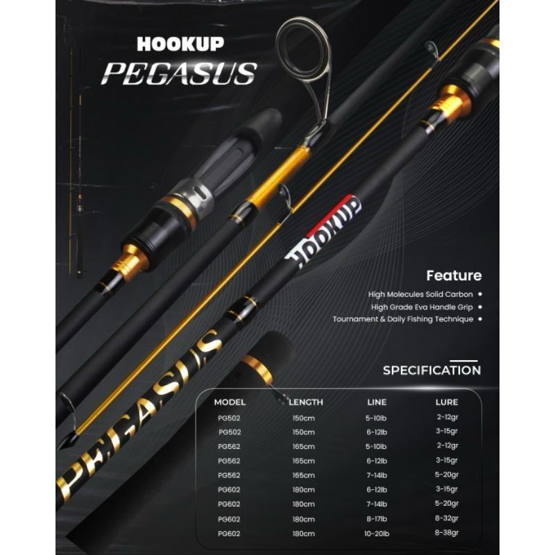 JORAN HOOK UP PEGASUS CARBON SOLID SPINING 150&180CM