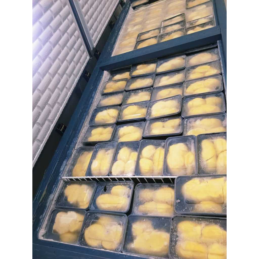 

Durian Medan Nias Palu Bali Beku Frozen Duren hanya pengiriman GOJEK surabaya Sidoarjo Gresik Montong