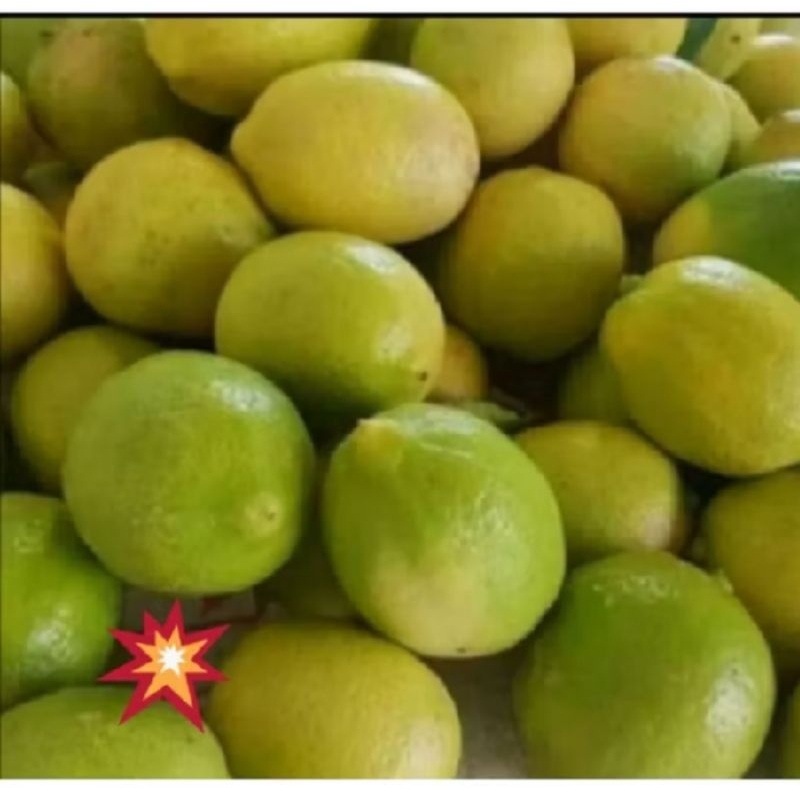 

Jeruk lemon 1kg segar, lokal Garut bagus murah meriah#