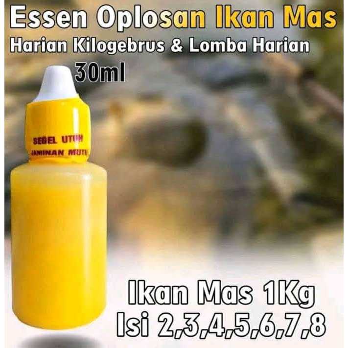 Essen Ikan Mas Rame Dan Totalan, Essen Ikan Mas Amis Wangi