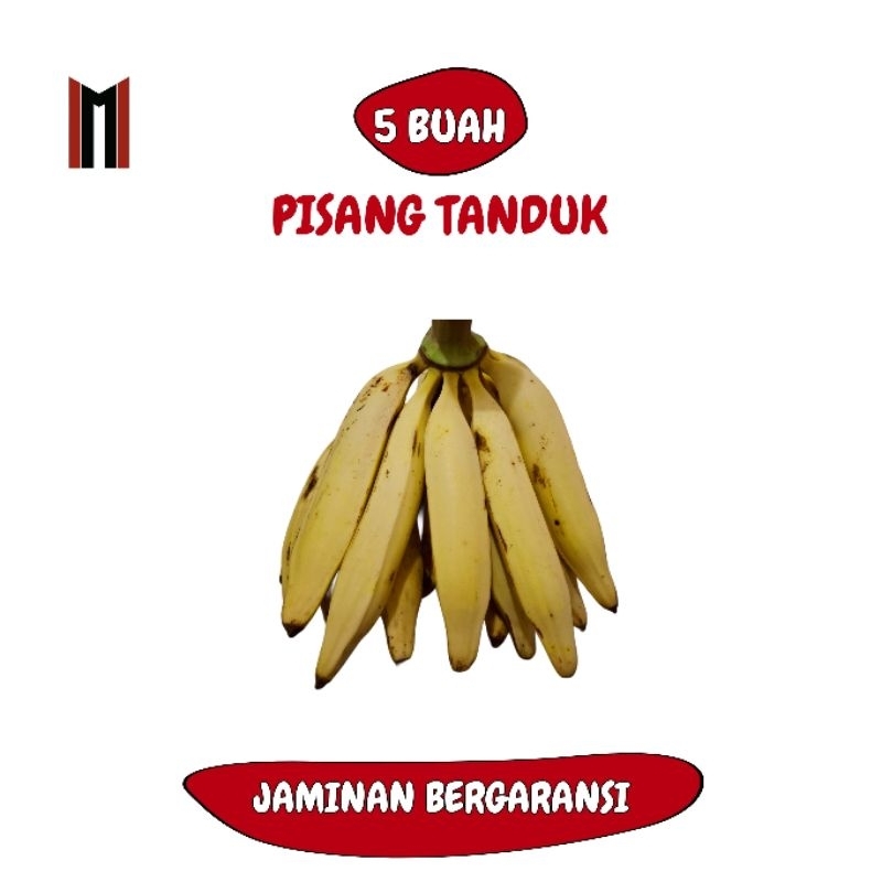 

(ISI 5) PISANG TANDUK/BYAR JUMBO ASLI PATIAYAM