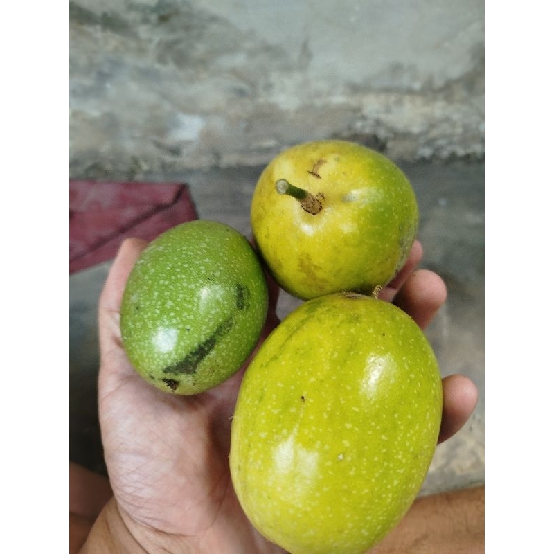 

Buah markisa asam segar 500gram