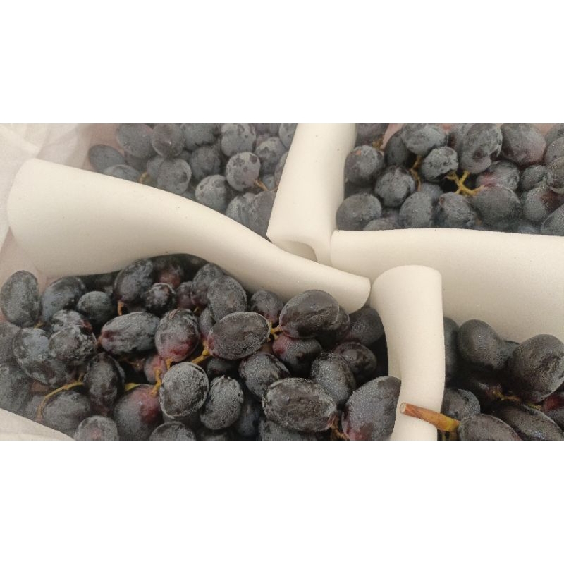 

anggur autum 500gr-1kg