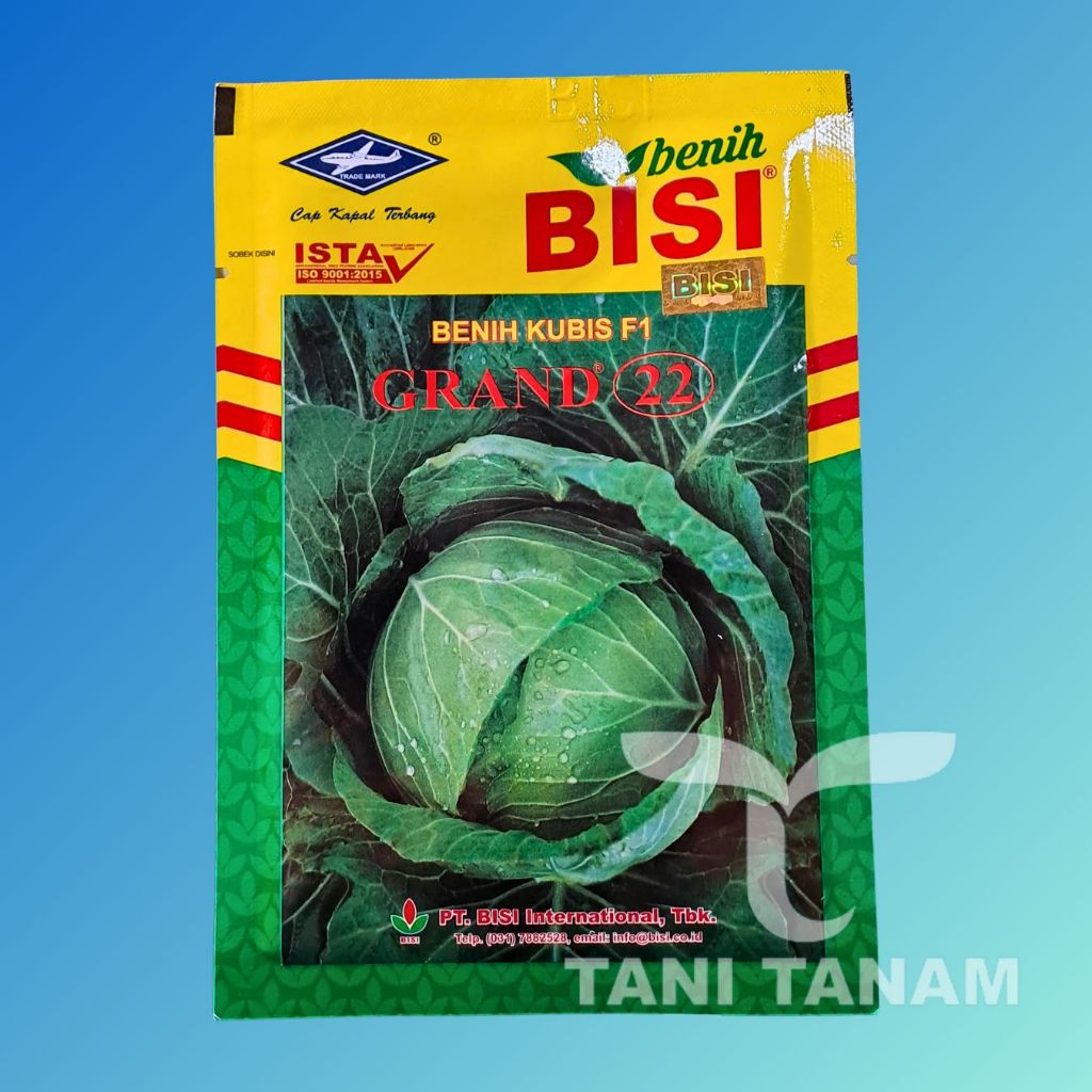 BENIH KUBIS GRAND 22 CAP KAPAL TERBANG