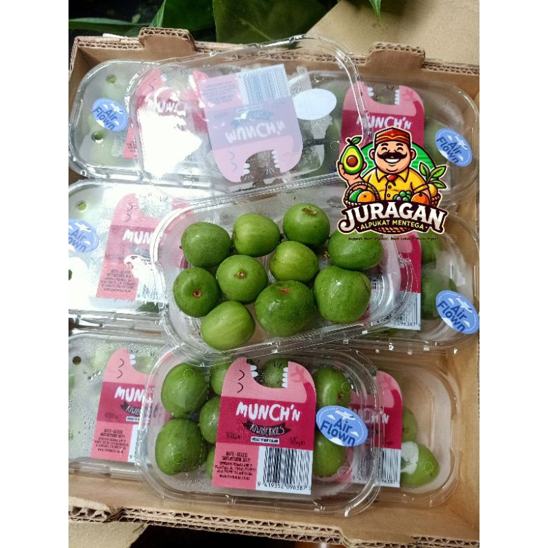 Kiwi Berries Buah Kiwi Berry Fresh