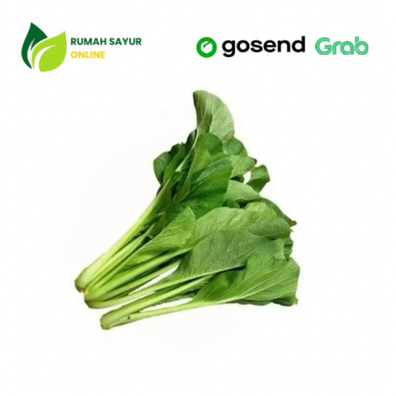 

Sayur Sawi Hijau Fresh 1 Ikat