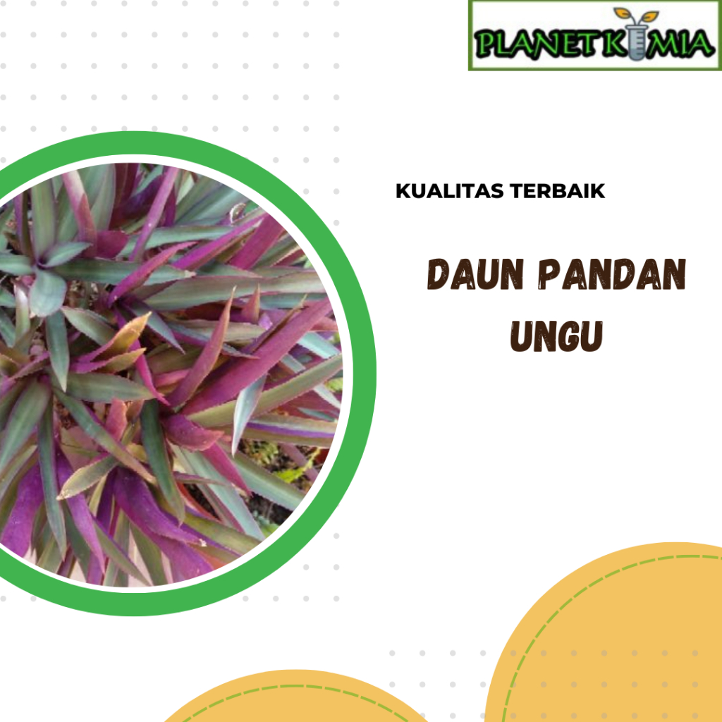 

ekstrak daun pandan ungu best product